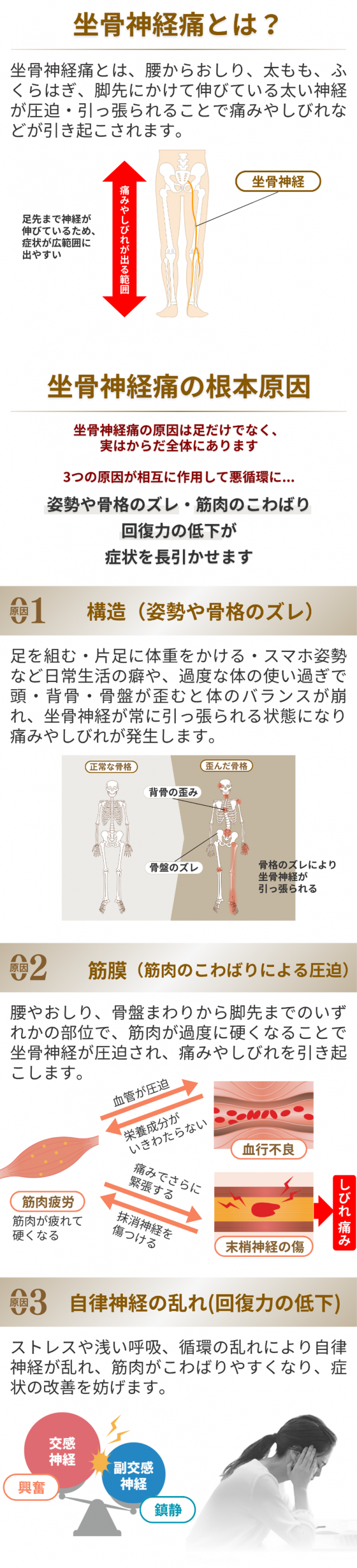 坐骨神経痛とは？